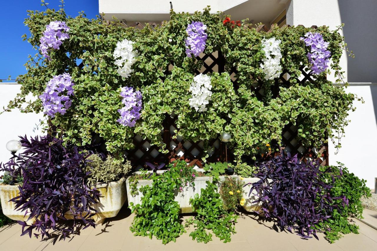 ויר Apartment Lavender מראה חיצוני תמונה