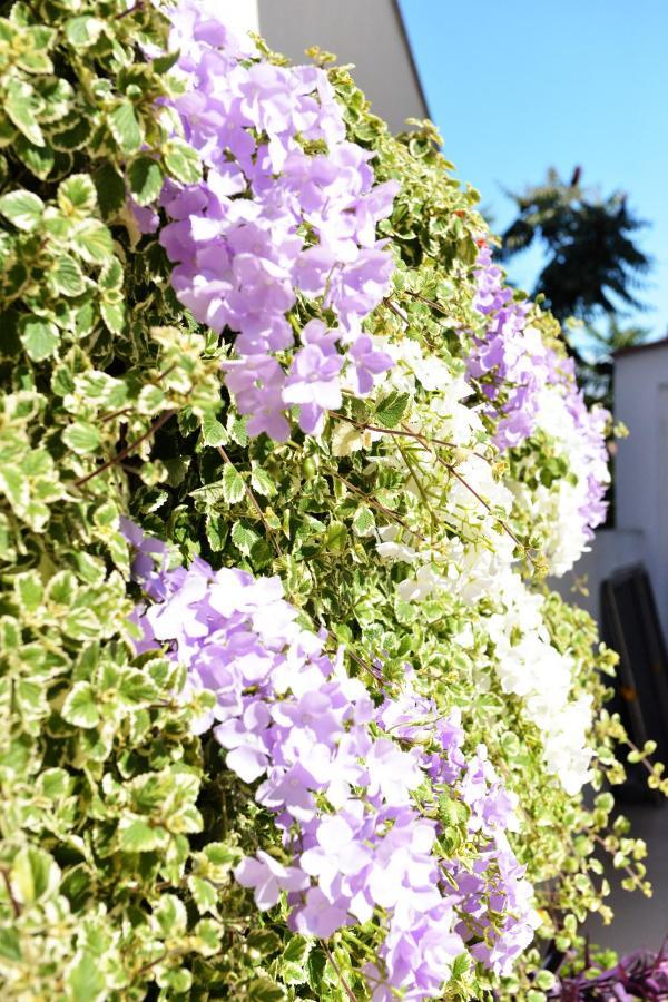 ויר Apartment Lavender מראה חיצוני תמונה